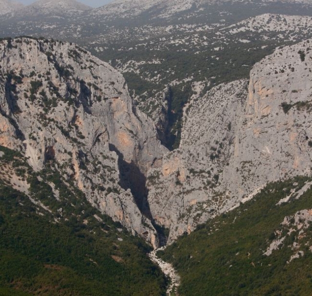  The valley 